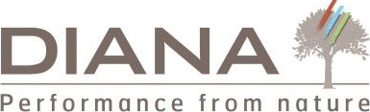Diana Logo