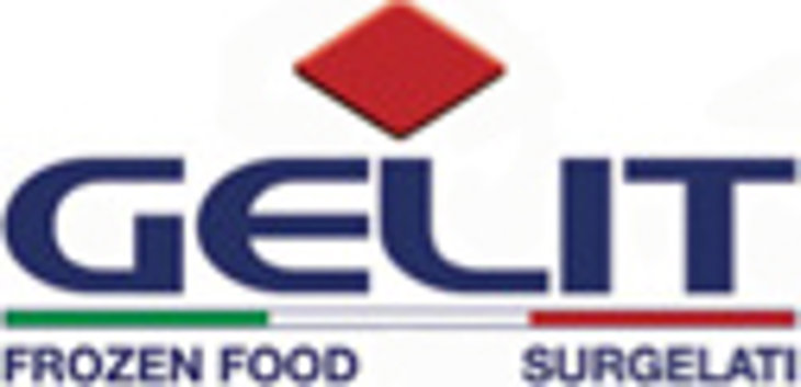 Gelit Logo
