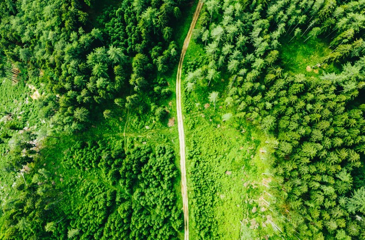New sustainability reporting standards adoption: simpler rules, clearer boundaries, more predictability Image