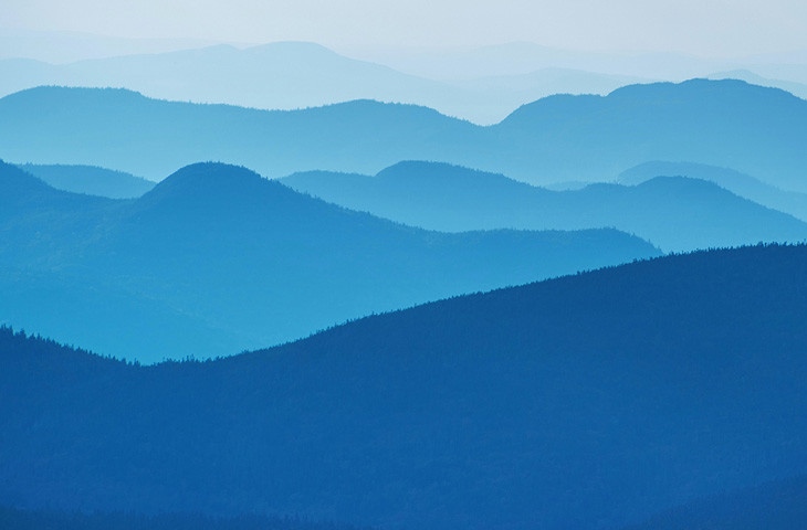 Th Due Diligence And Portfolio Company Engagement