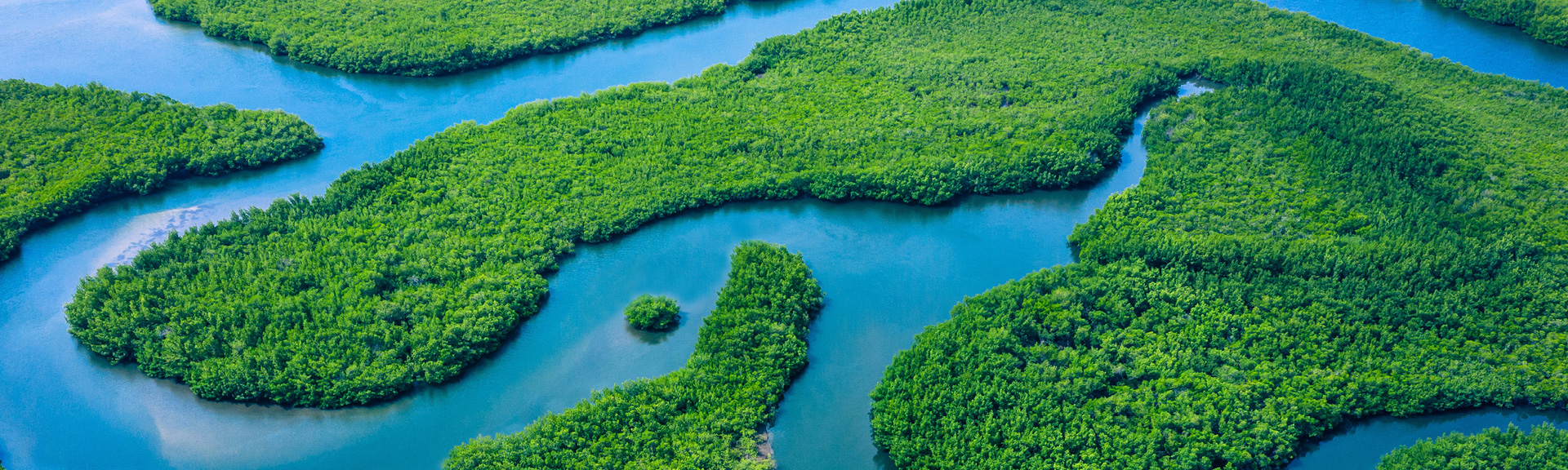 B2 Climate Change Guide2