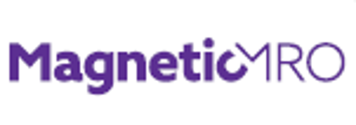 PE in CEE - Magnetic MRO Logo