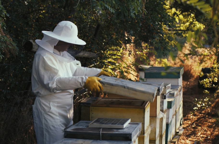 Th Apiary Beekeeper