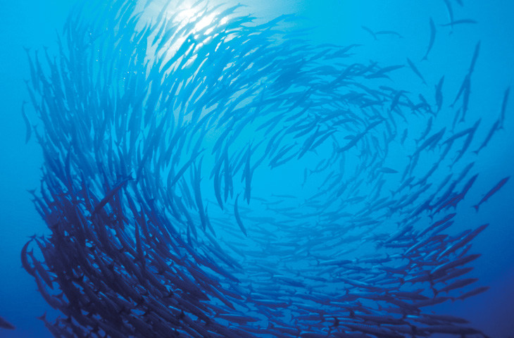 Th ESG Lifecycle