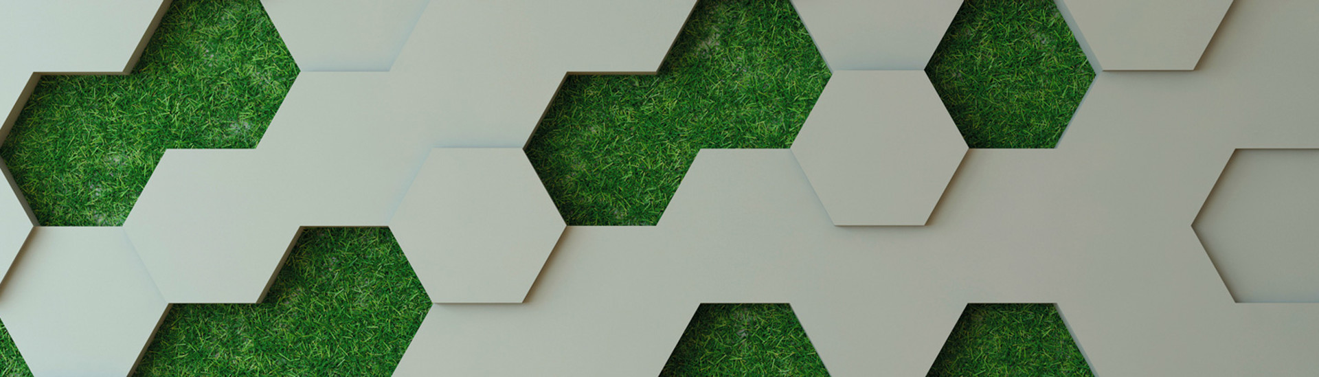 B2 Investor Coalitions And Initiatives