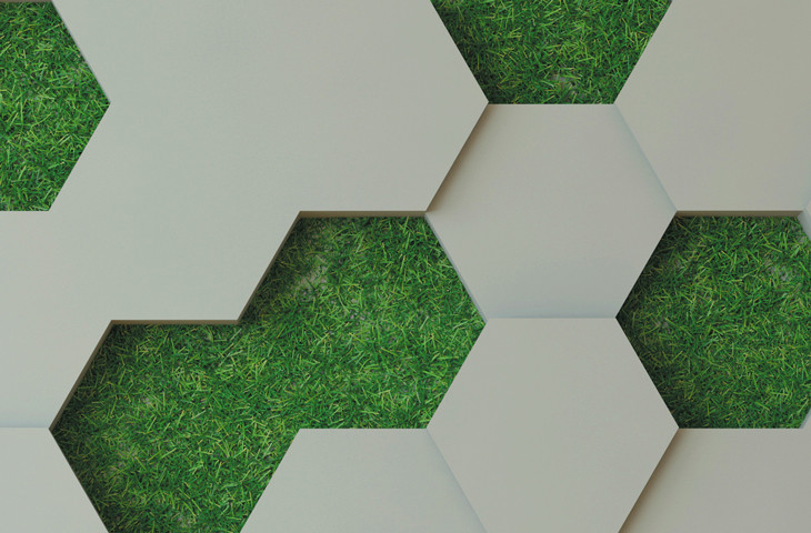 Th Investor Coalitions And Initiatives