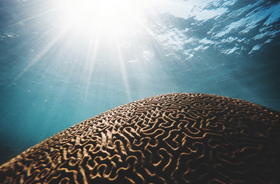 Th Deep Dive For Vcs And Investors2