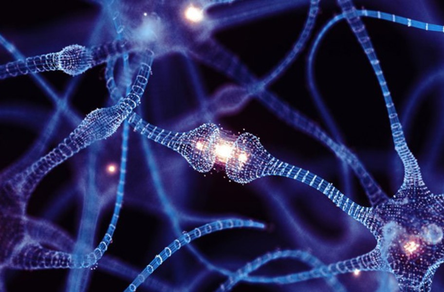 opinion-quiet-power-healthcare-investments-december-2025-neuron-image.jpg