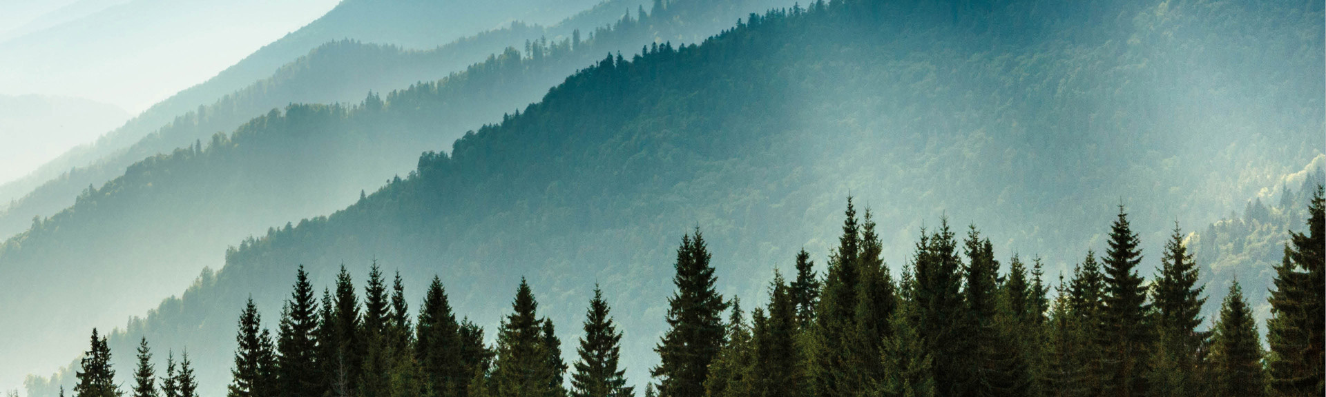B2 Invest Europe ESG KPI Report