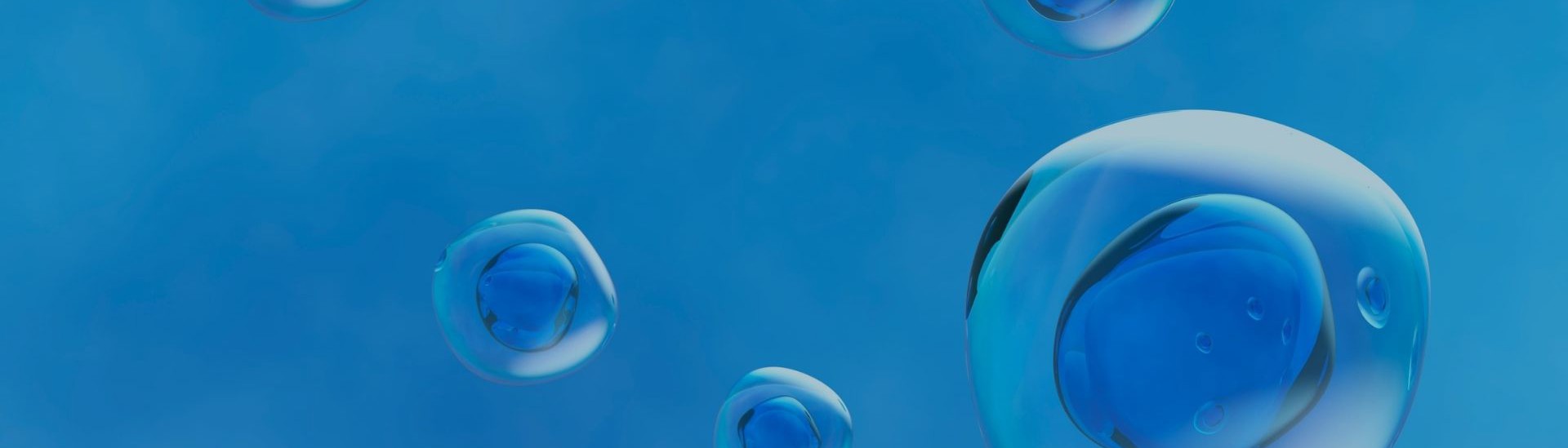 Success-Stories-Tubulis-web-banner.jpg