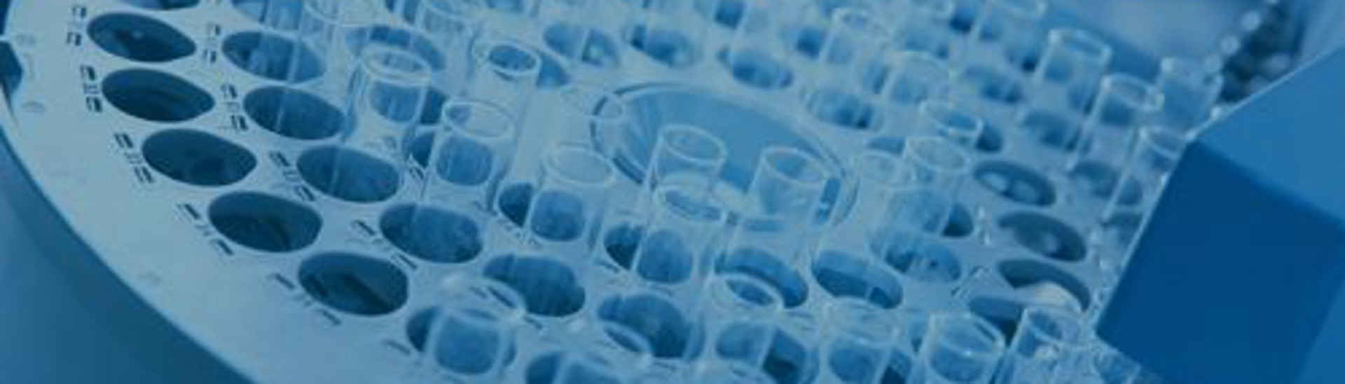 abivax-success-story-web-banner.jpg