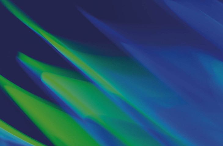 Th Restrictions On Delegating Portfolio
