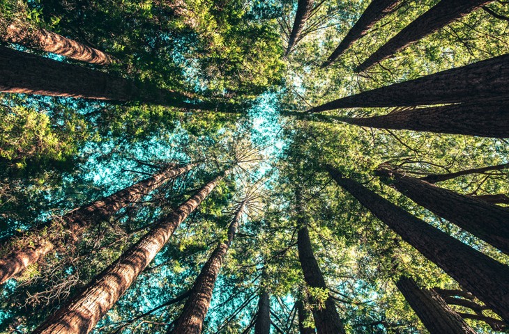 Response to EFRAG’s Consultation on the European Sustainability Reporting Standards for Non-EU Undertakings (ESRS 40a)