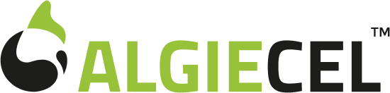 AlgieCel.png