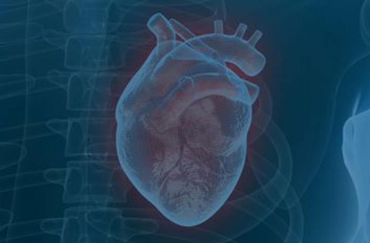 Cardior Pharmaceuticals Image