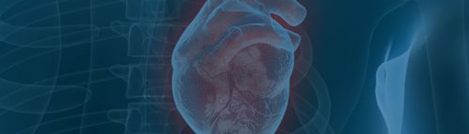 success-stories-cardior-web-banner.jpg