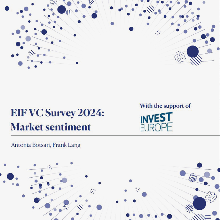 11-Publication_EIF-VC-Survey-2024