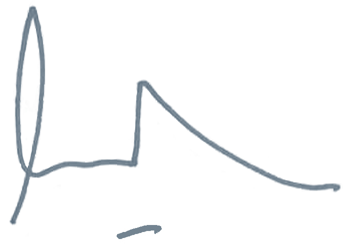 EM_Signature_grey
