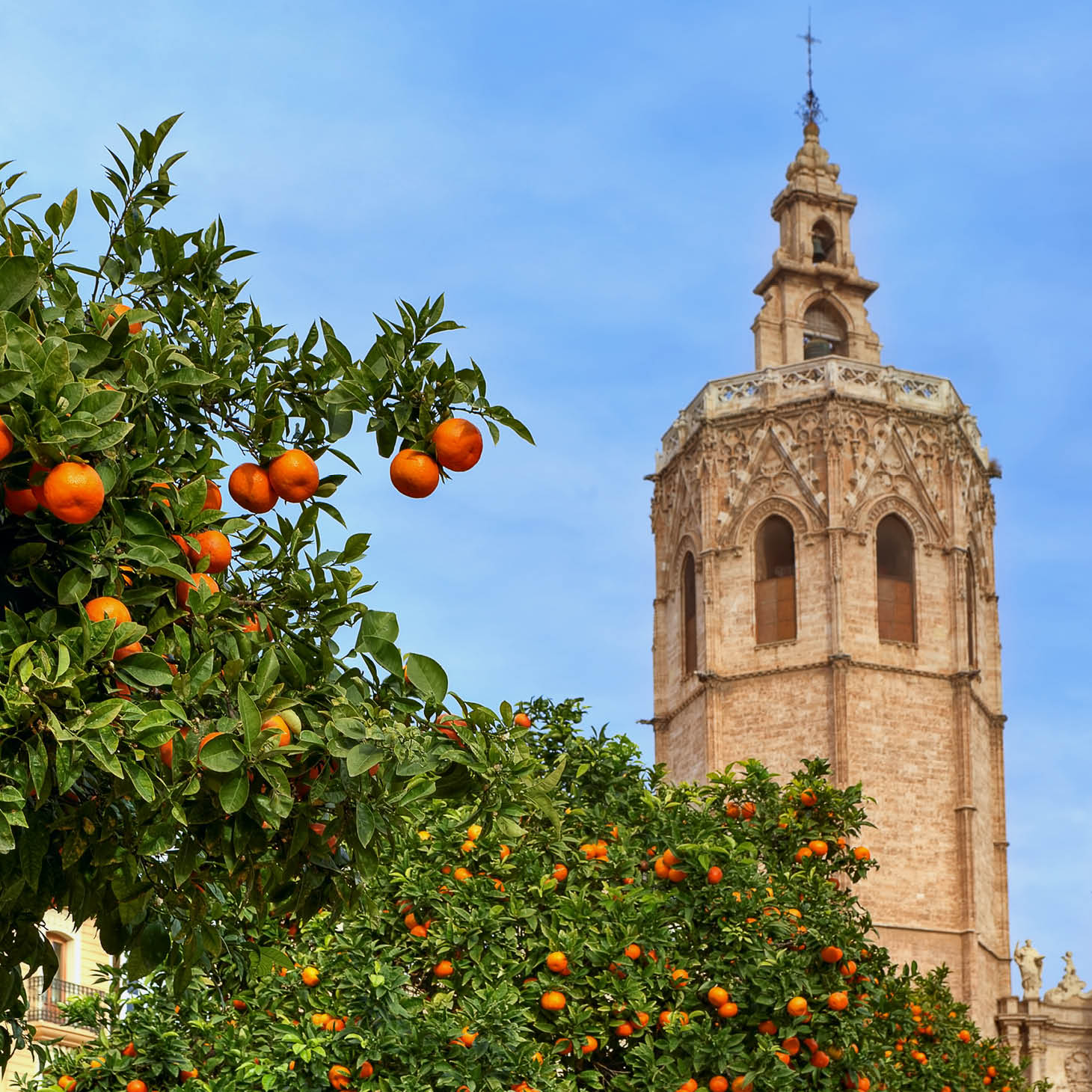th_Valencian-Community