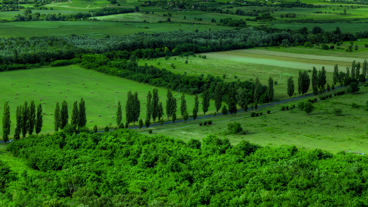 th-southern-great-plain