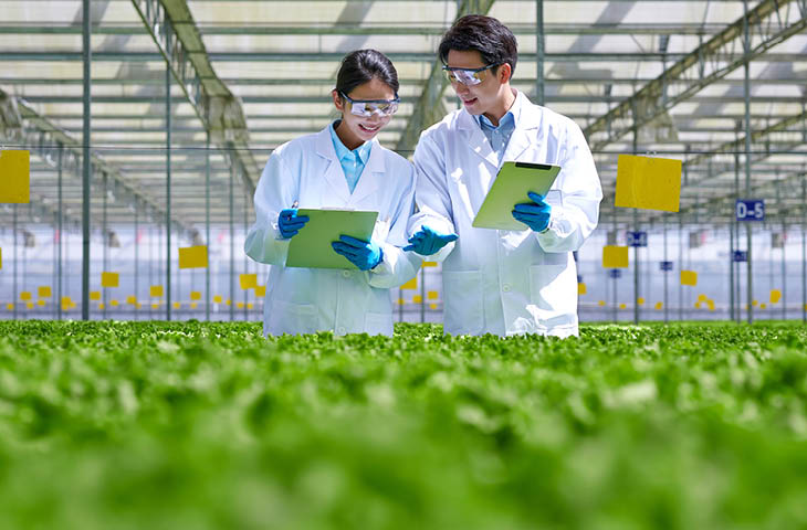 th_biotech-scientists-greenhouse